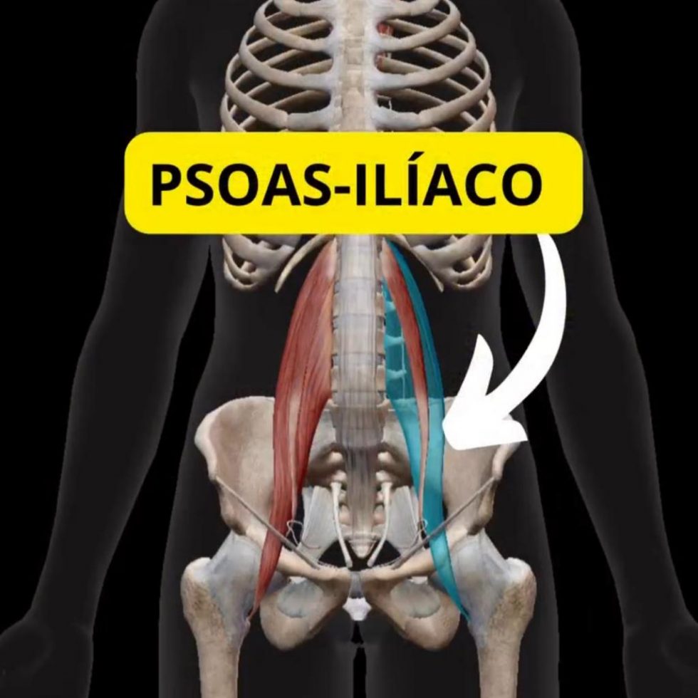 ¡La gran importancia del psoas en tu pisada ! - Biomecánica Martínez